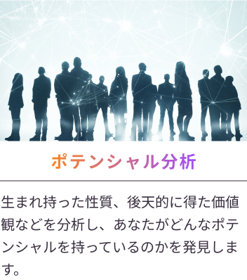 ポテンシャル分析